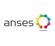 anses